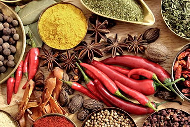 Vamos Melbourne - Accommodation QLD 0