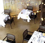 Flying Fish Bar - Accommodation QLD