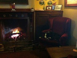 Royal Cricketers Arms - Accommodation QLD 2