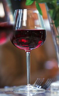 Doma Bohemian Beer Cafe - Accommodation QLD 3