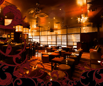 Hippo Lounge Bar - Accommodation QLD