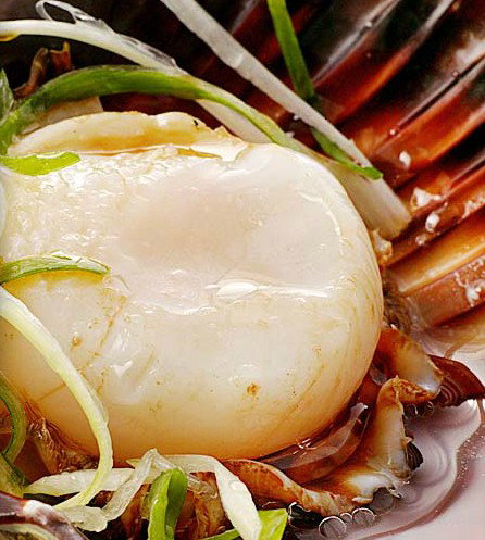 Golden Century Seafood Restaurant - Accommodation QLD 2