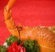 Marigold - Accommodation QLD