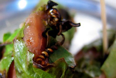 Xage Vietnamese - Accommodation QLD 2