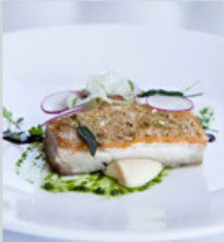 PJ's Irish Sports Bar & Bistro @ The Criterion Hotel - Accommodation QLD 0