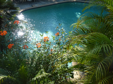 Avoca Beach Hotel - Accommodation QLD 1