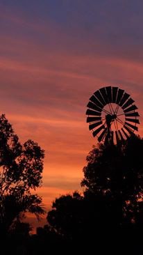 Emerald Springs Roadhouse - Accommodation QLD 5