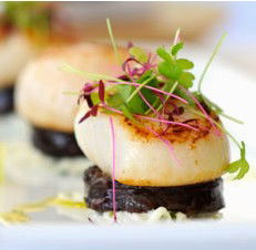 The Terrace On Pittwater - Accommodation QLD 1