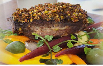 The Terrace On Pittwater - Accommodation QLD 2