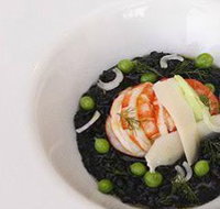 finefish - Accommodation QLD