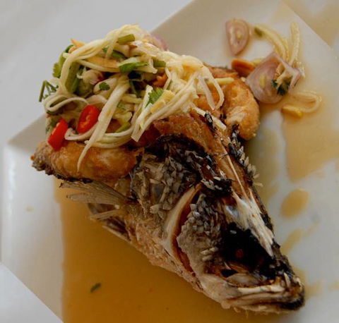 Mekong Thai–Lao Restaurant - Accommodation QLD 1