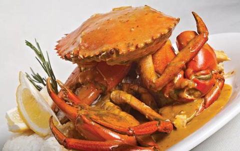 Fish D’Vine & The Rum Bar - Accommodation QLD 0