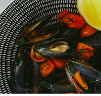 The Italian Diner - Accommodation QLD