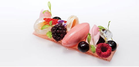 Oscillate Wildly - Accommodation QLD 0