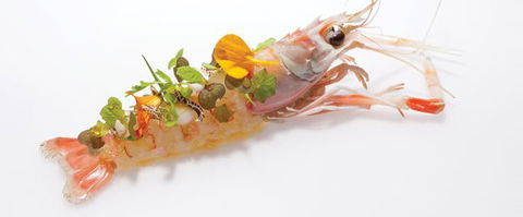 Oscillate Wildly - Accommodation QLD 1