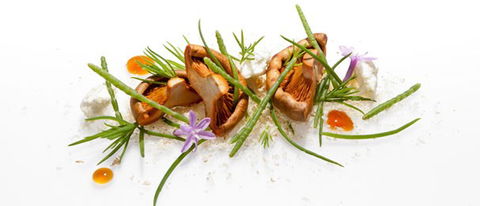 Oscillate Wildly - Accommodation QLD 2