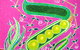 Almost The Last Supper: New Work By Merton Chambers - thumb 2