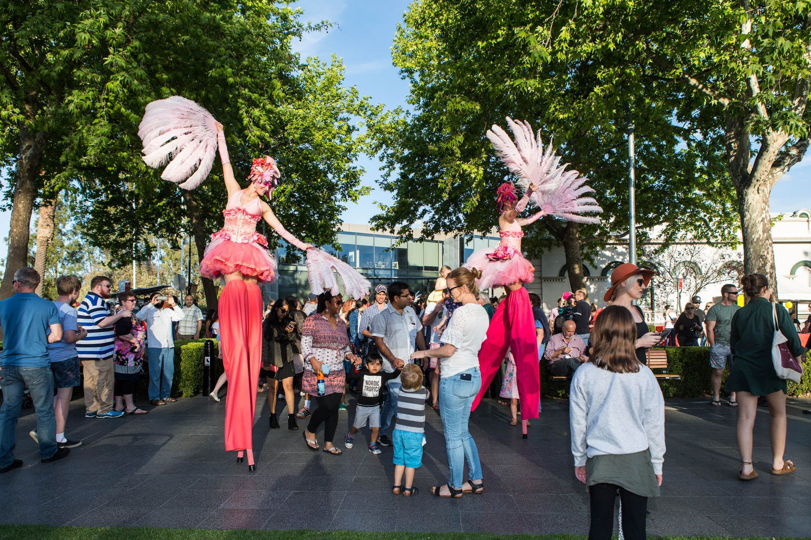 Brucedale NSW Accommodation QLD
