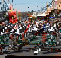 Australian Celtic Festival - Accommodation QLD