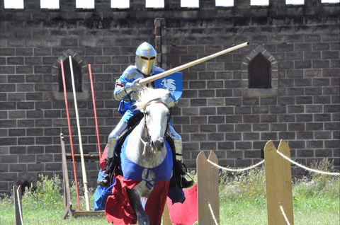 Baroque Horse Festival - Accommodation QLD 1