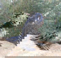 Bathurst Arts Trail - Accommodation QLD