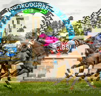 Bathurst Cup - Accommodation QLD