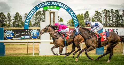 Bathurst Cup - Accommodation QLD 0