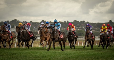 Bathurst Cup - Accommodation QLD 1