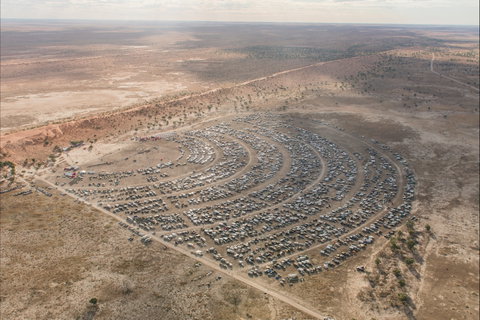 Birdsville Big Red Bash - Accommodation QLD 1