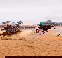 Birdsville Campdraft  Rodeo and Bronco Branding - Accommodation QLD