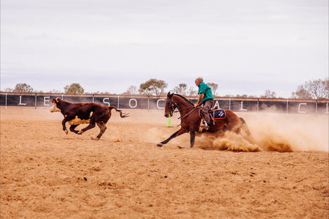Birdsville Campdraft,  Rodeo And Bronco Branding - Accommodation QLD 0