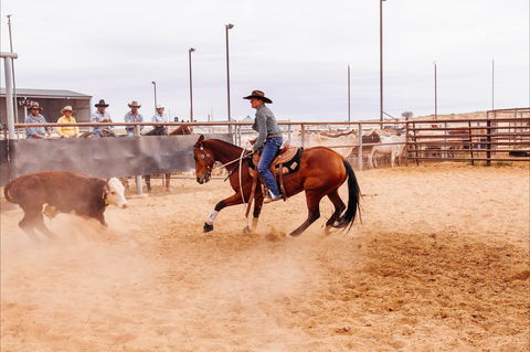 Birdsville Campdraft,  Rodeo And Bronco Branding - Accommodation QLD 2