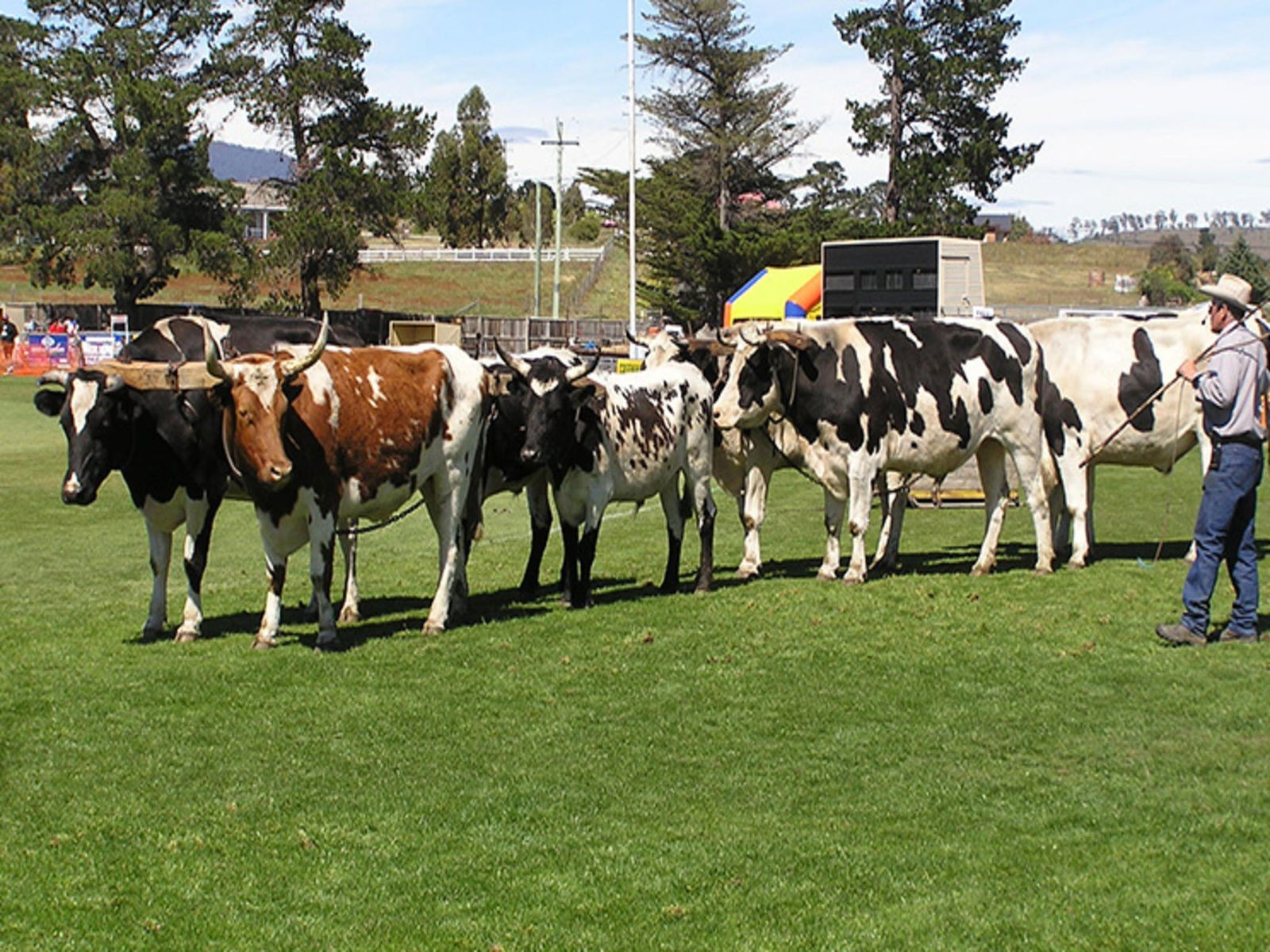 Brighton TAS Accommodation QLD