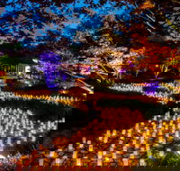 Canberra Nara Candle Festival - Accommodation QLD