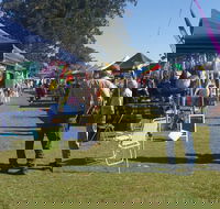 Casino Golf Club Markets - Accommodation QLD