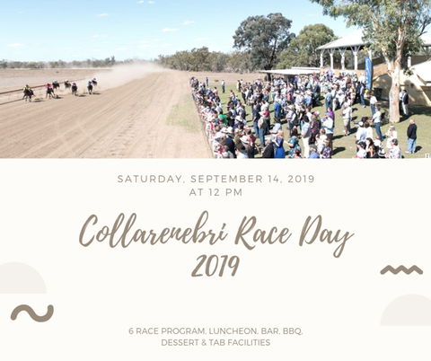 Collarenebri Races - Accommodation QLD 0
