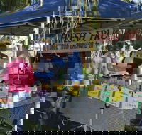 Corowa Rotary Federation Festival Market - Accommodation QLD