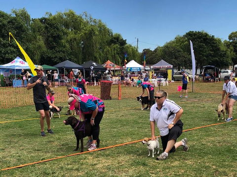 Dogs In The Park Orange - Accommodation QLD 0