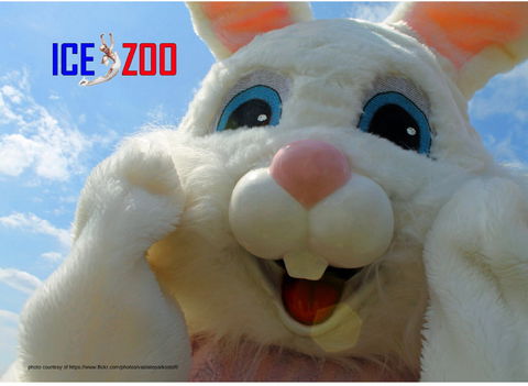 Easter Egg-stravaganza - Accommodation QLD 0