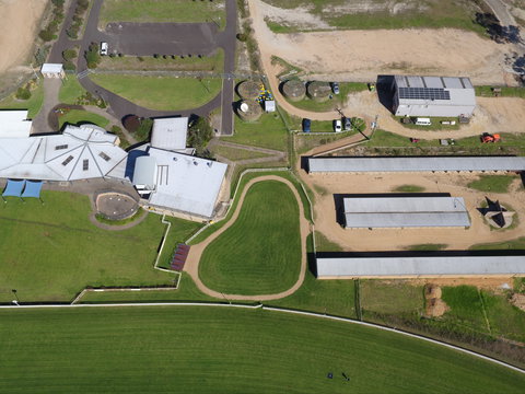 Eden Cup Race Day - Accommodation QLD 0