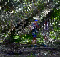 Elephant Trail Race - Accommodation QLD