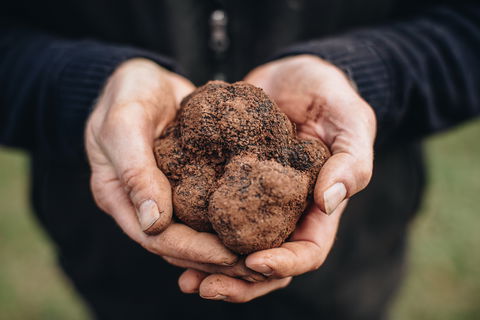 Feast And Forage - Craig's Royal Hotel - Accommodation QLD 0