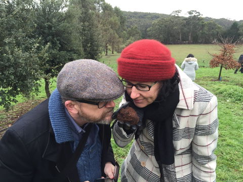 Feast And Forage - Craig's Royal Hotel - Accommodation QLD 1