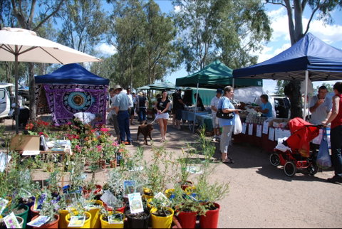 Fernvale Country Markets - Accommodation QLD 0