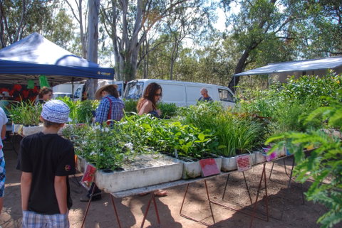 Fernvale Country Markets - Accommodation QLD 1