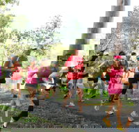 Gladstone Weekly Parkrun - Accommodation QLD