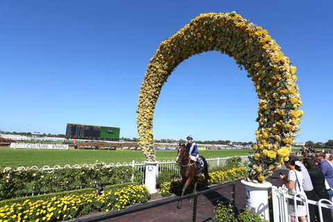 Golden Eagle Day - Accommodation QLD 2