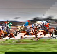 Grafton July Racing Carnival - Accommodation QLD