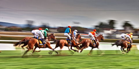 Grafton July Racing Carnival - Accommodation QLD 0