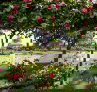Griffith Spring Fest - Accommodation QLD